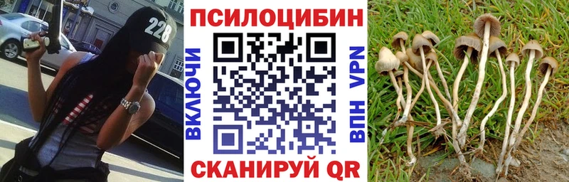 Псилоцибиновые грибы ЛСД  Купить  Кола 